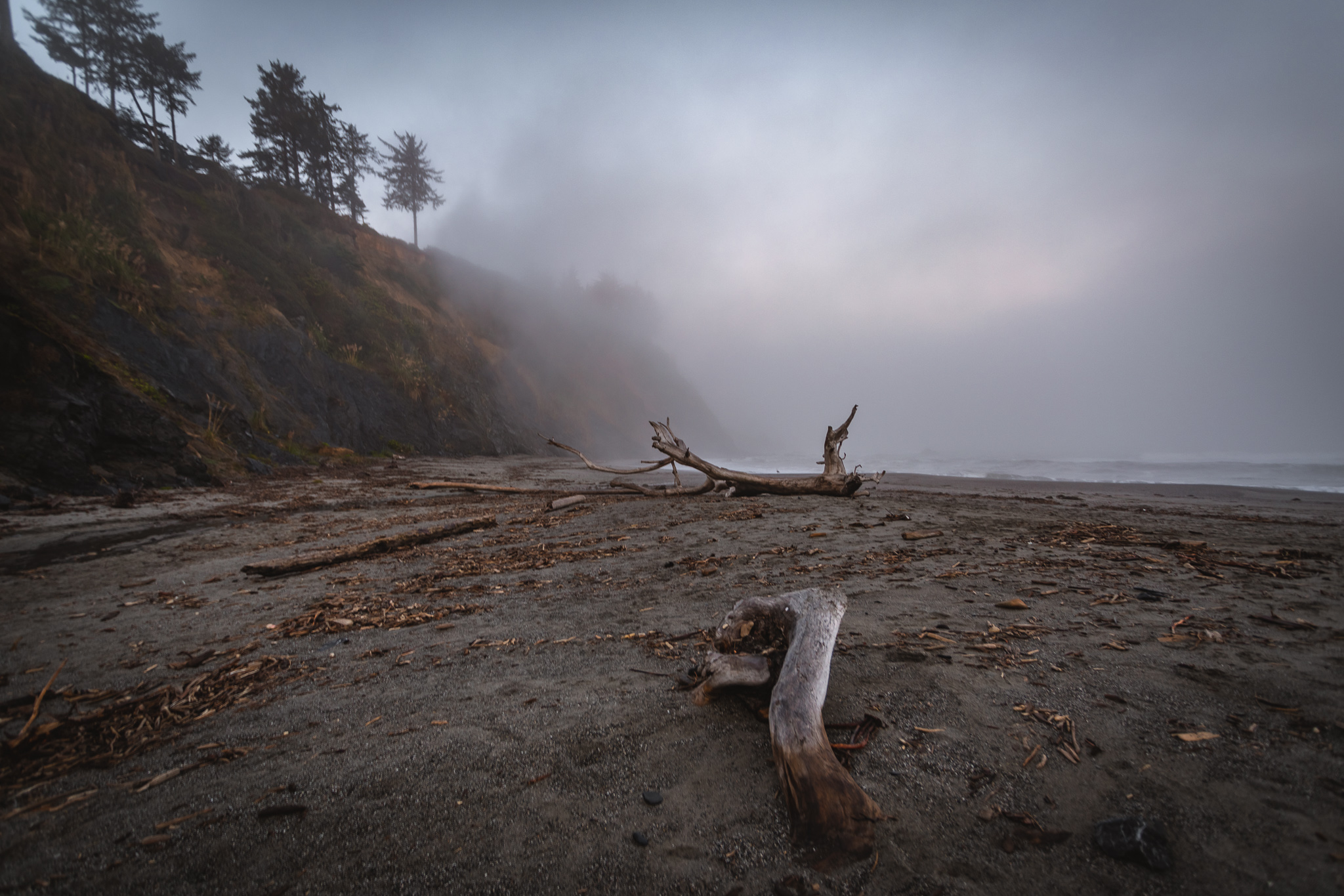 A Morning In Patrick S Point State Park California The Break Of Dawns