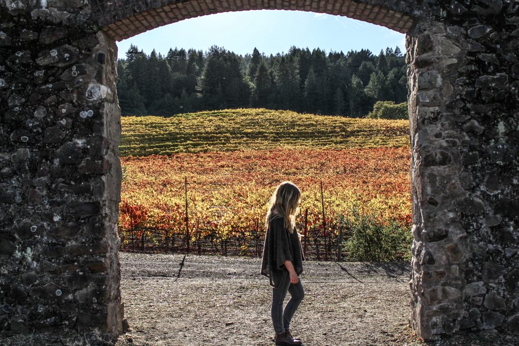 old winery archways at jack london state park