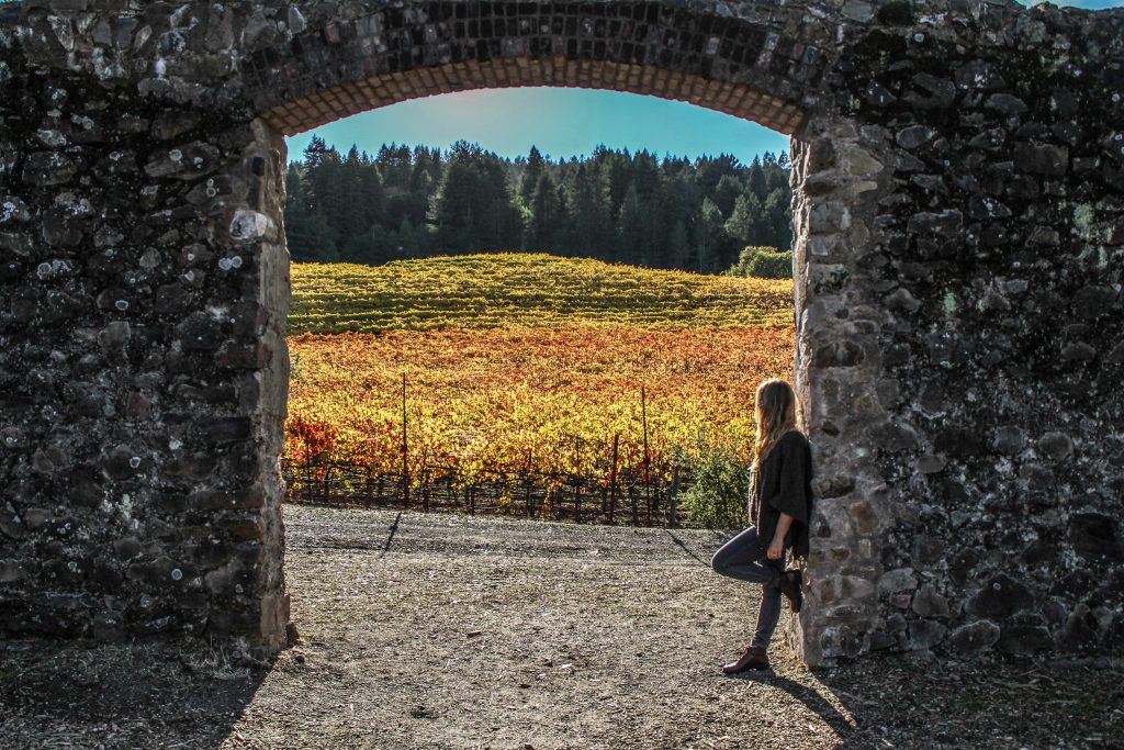 looking through the old winery archway at the vineyards
