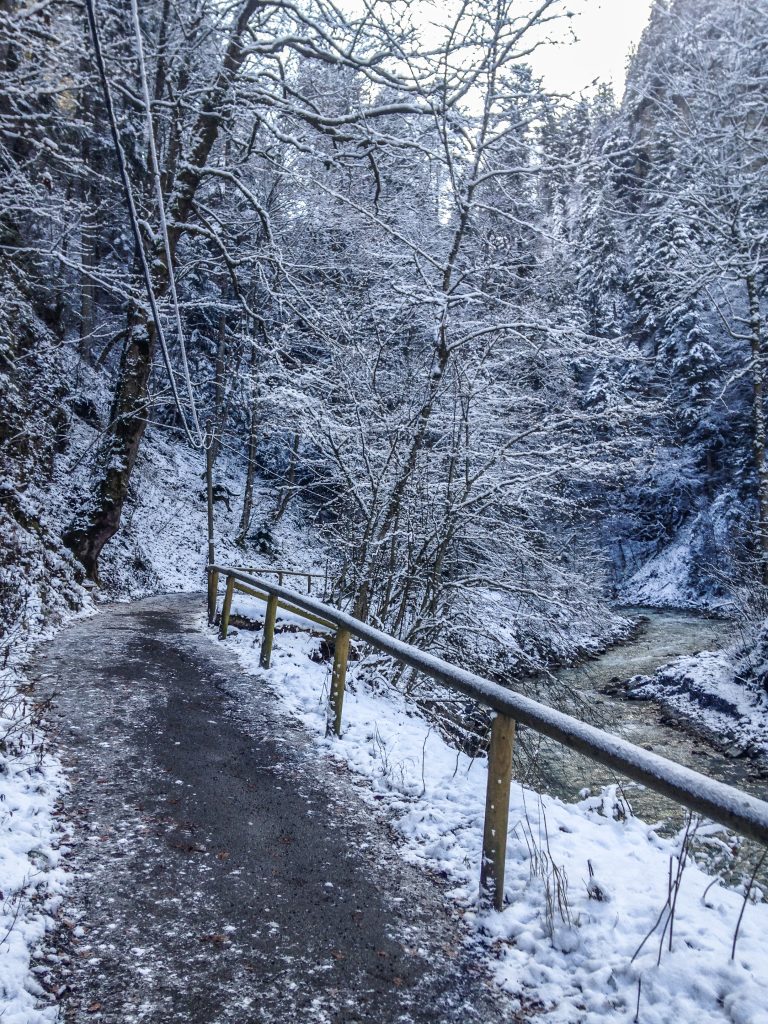 beautiful snowy pathway next to the creek
