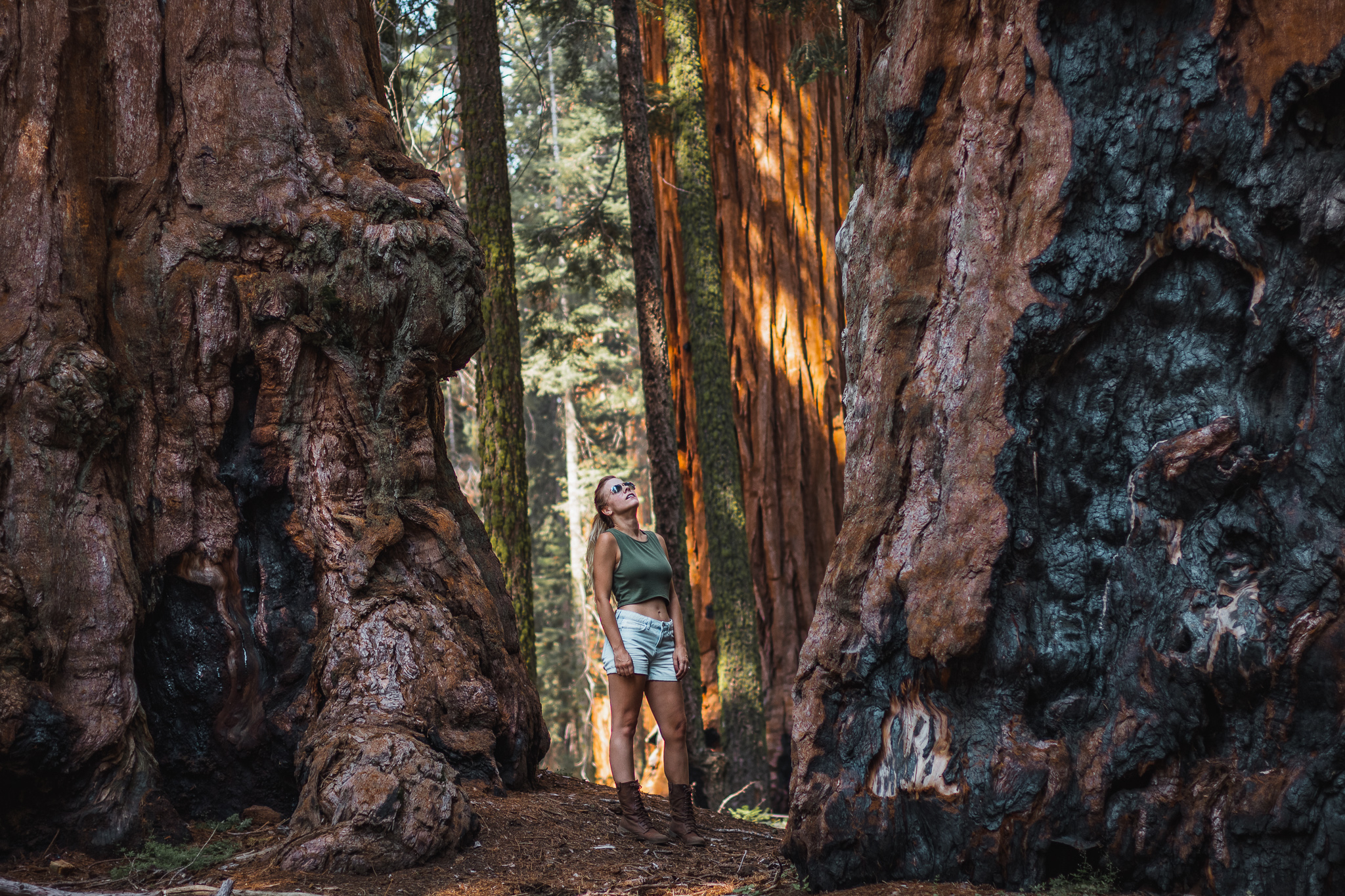 Exploring Hiking The Best Of Sequoia National Park The Break Of Dawns