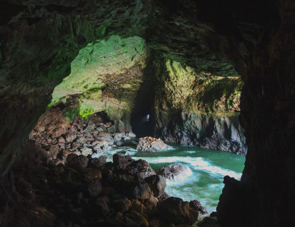 Sea Lion Caves in Florence, Oregon