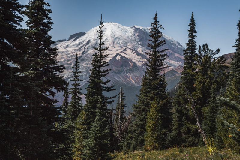 Mount Rainier: Where To Find The Best Views - The Break Of Dawns