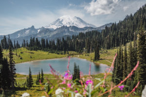 Mount Rainier: Where To Find The Best Views - The Break Of Dawns