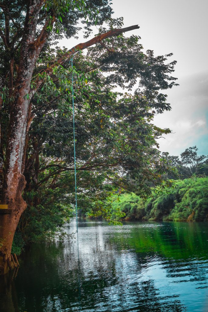 Rope swing over the Moho River