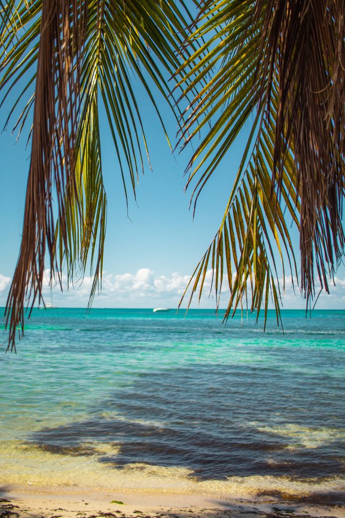 Beaches, the sea and palm trees in Belize