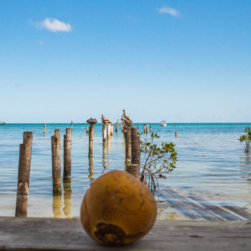 An UnBelizeable 3 Days in Caye Caulker – A Travel Diary