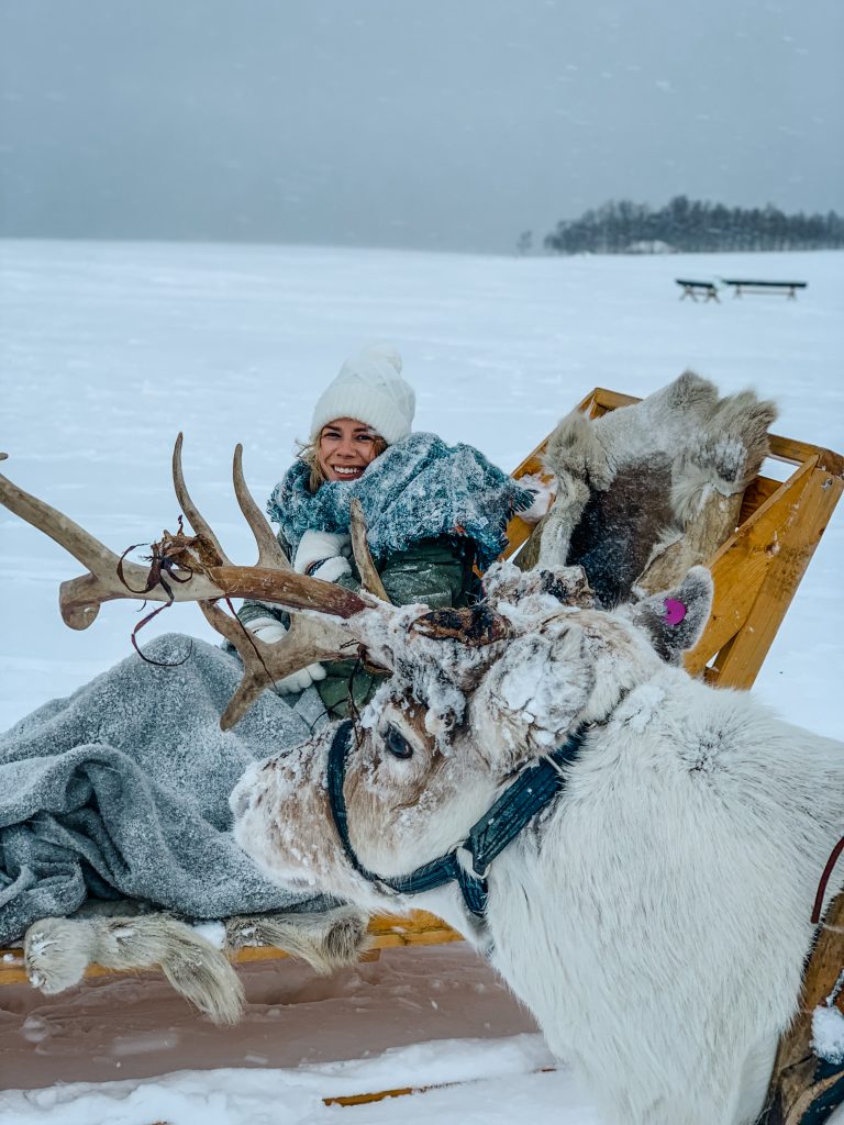 Me in a sled with a reindeer in front
