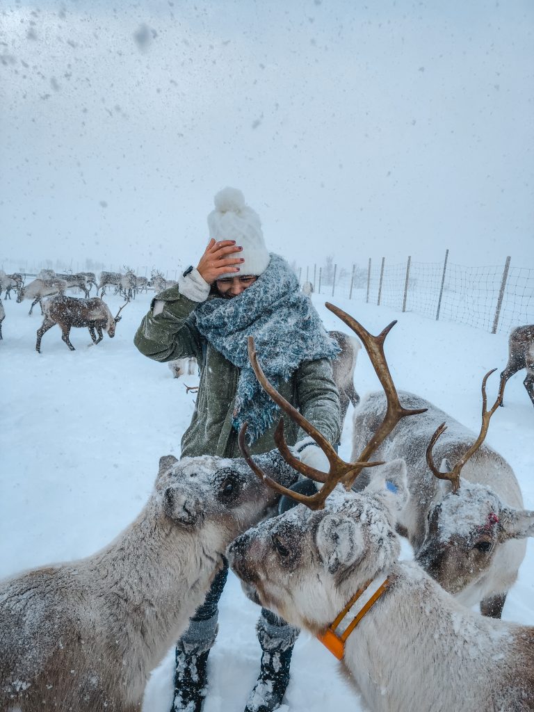 Me with 3 reindeer eating out of my bucket