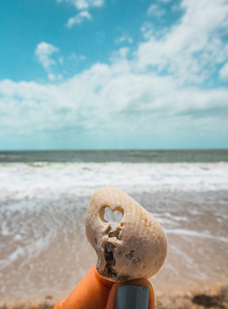 Seashell with a heart and the ocean behind