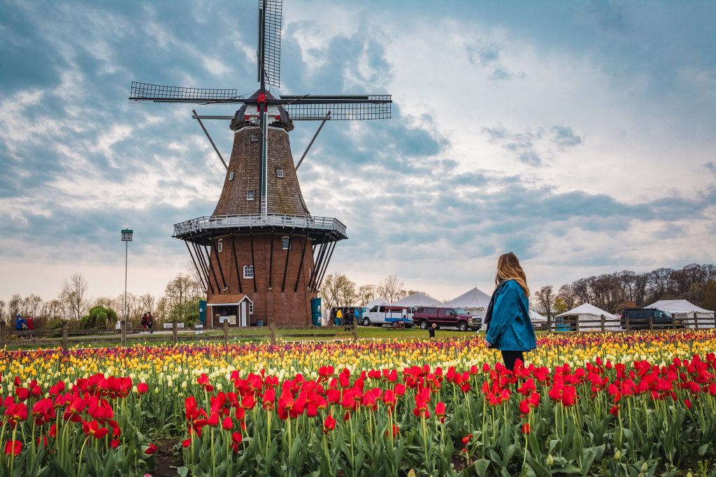 The Best Tulip Gardens in Holland, Michigan The Break of Dawns