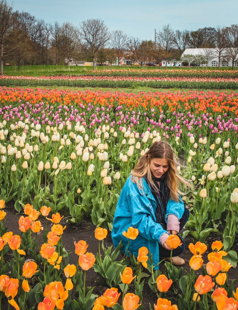 Me in a field of tulips