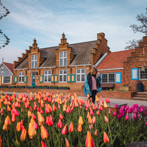 The Best Tulip Gardens in Holland, Michigan