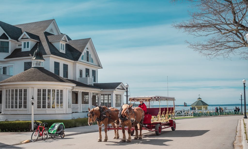 Horse and carriage with views of Lake Huron behind them