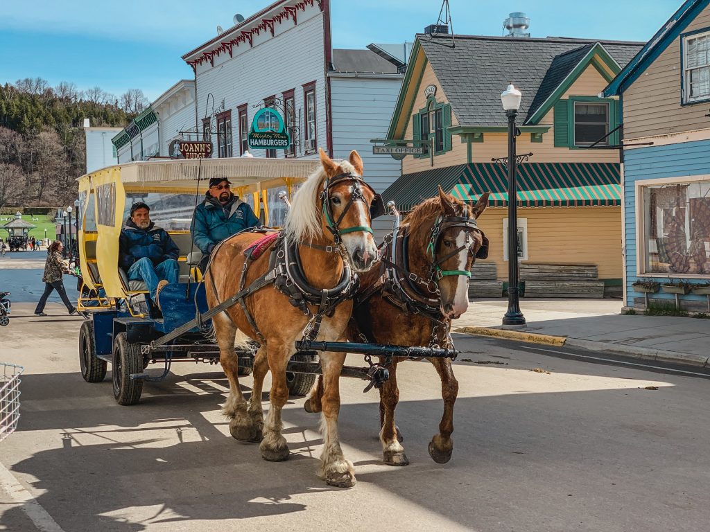 Horses pulling two men in a carriage through the Main Street on the island