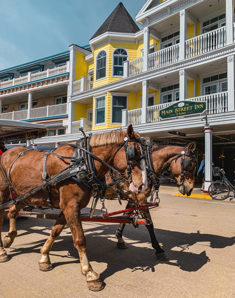 two horses pulling a carriage through the main street on the island