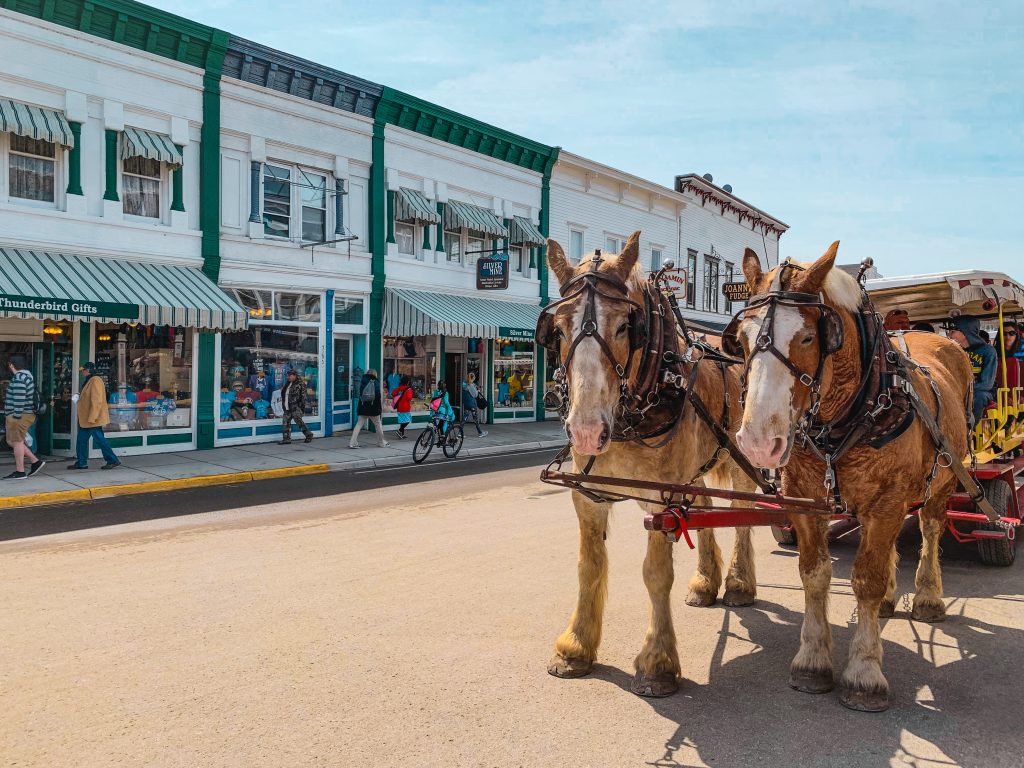 Horses on the Main Street of Mackinac Island