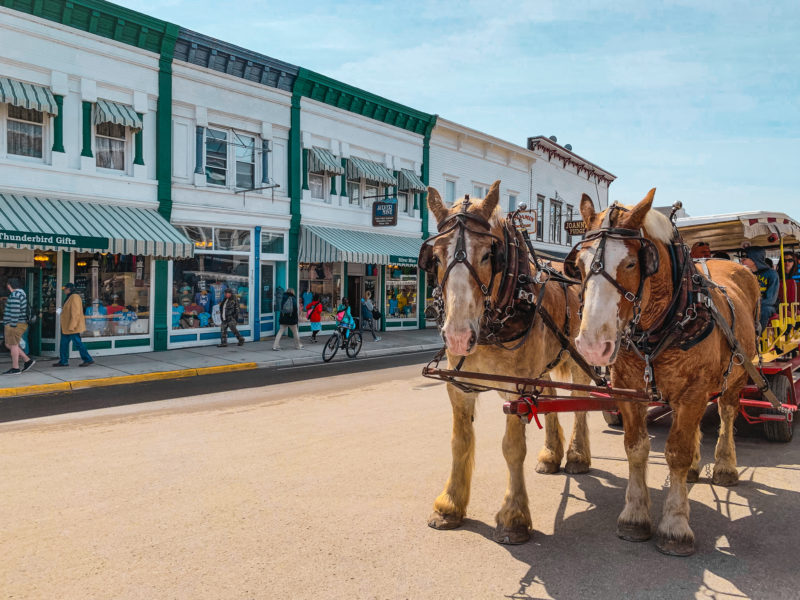 Horses on the Main Street of Mackinac Island