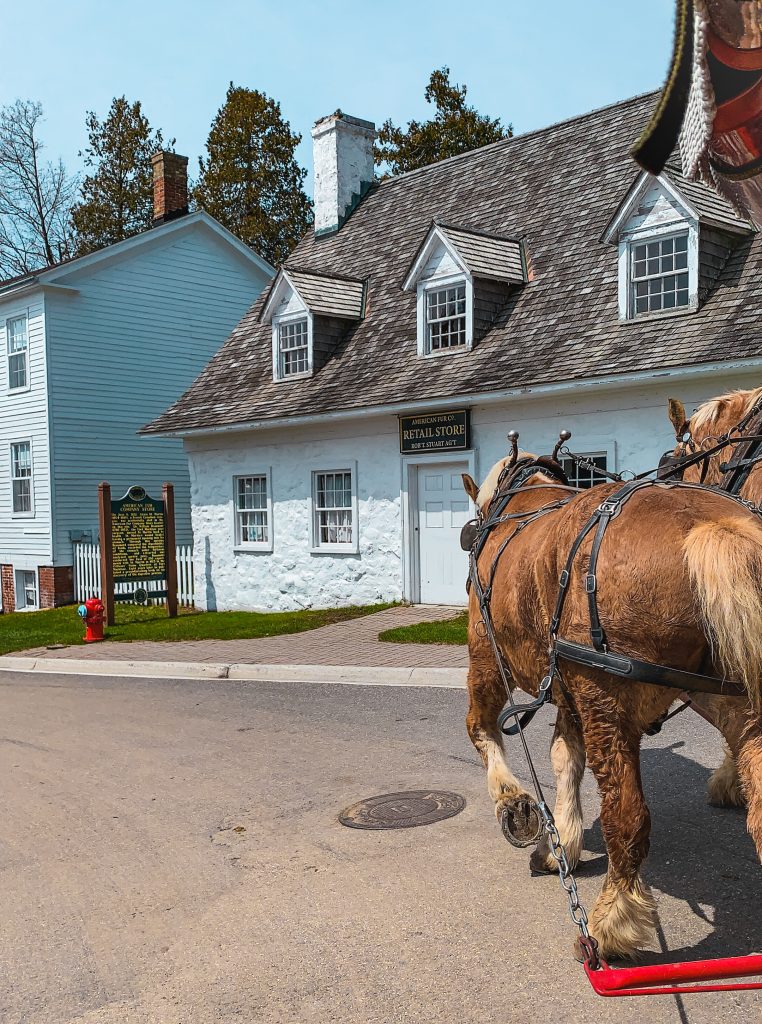 Horses pulling us through the streets of Mackinac Island