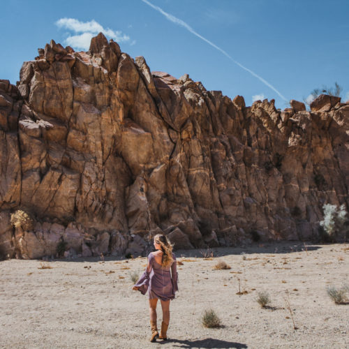 A Guide to Driving & Hiking Joshua Tree National Park