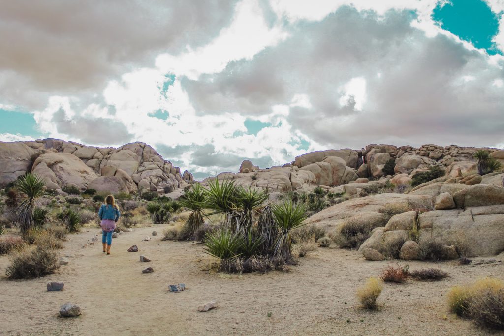 The desert landscape with rocks