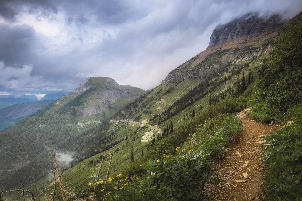 Views of the Highline Trail in Glacier NP