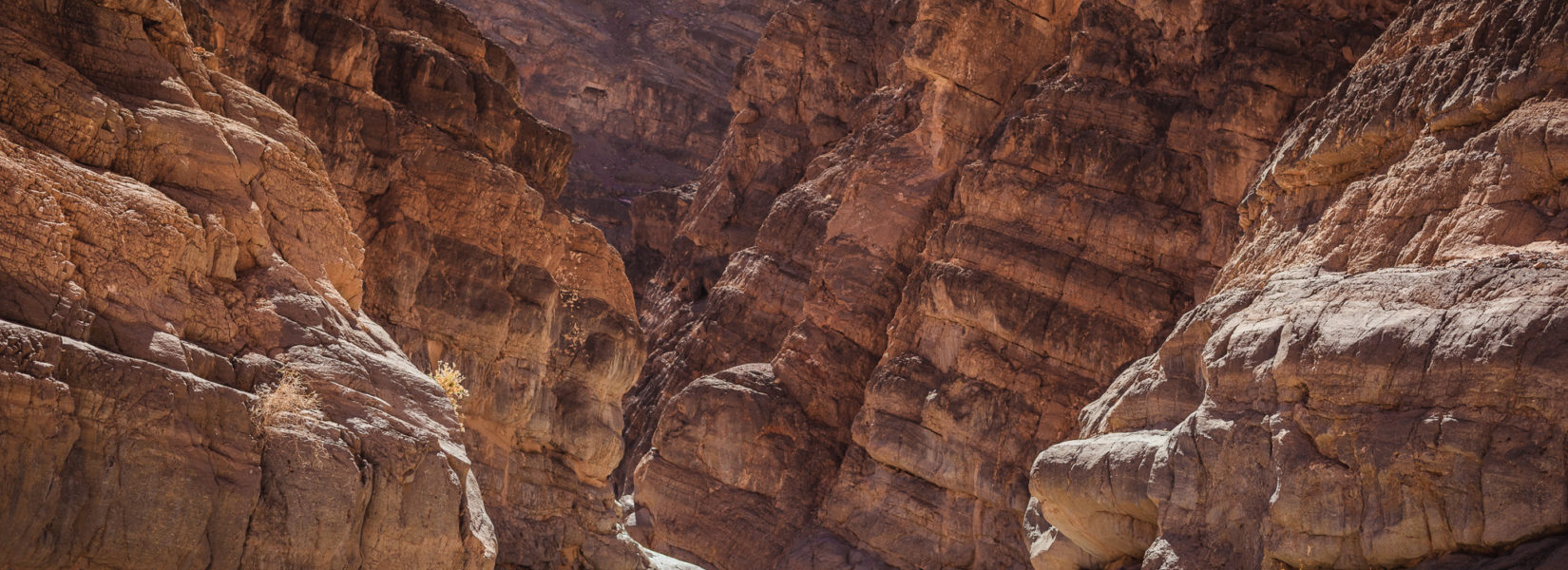 Titus Canyon Road in Death Valley: The Most Epic Off-Roading Adventure