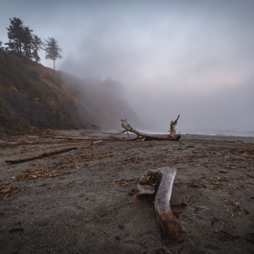 A Morning in Patrick’s Point State Park, California