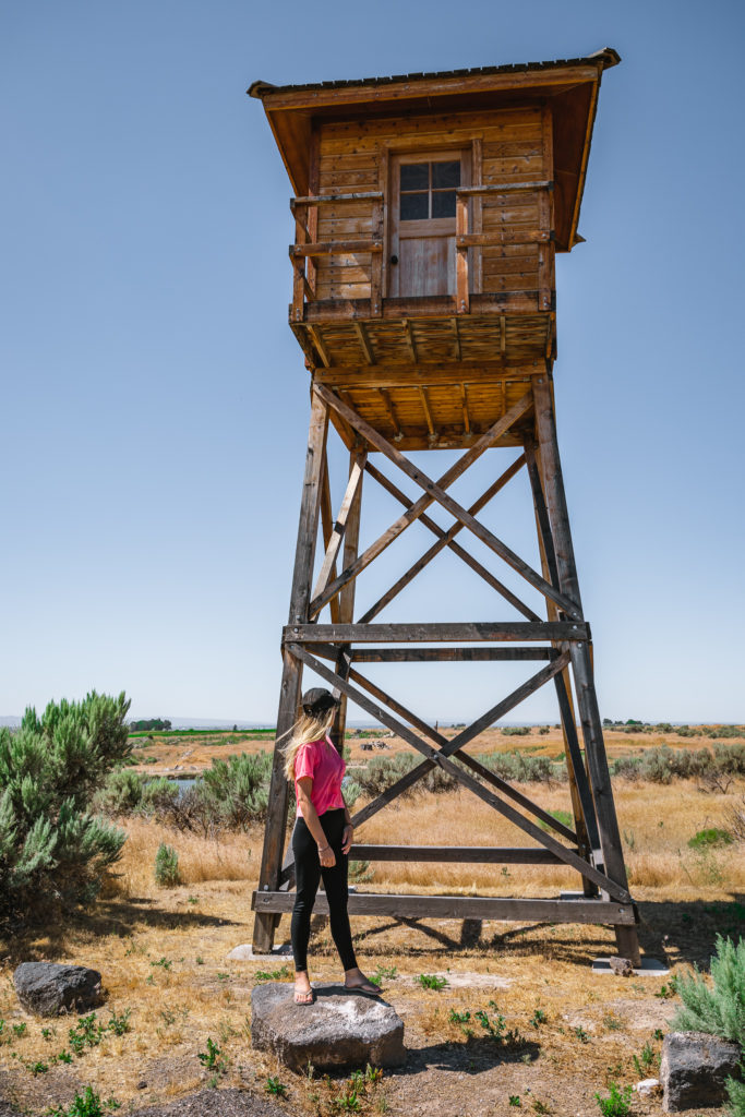 Forgotten History To Be Ashamed Of Minidoka National Historic Site