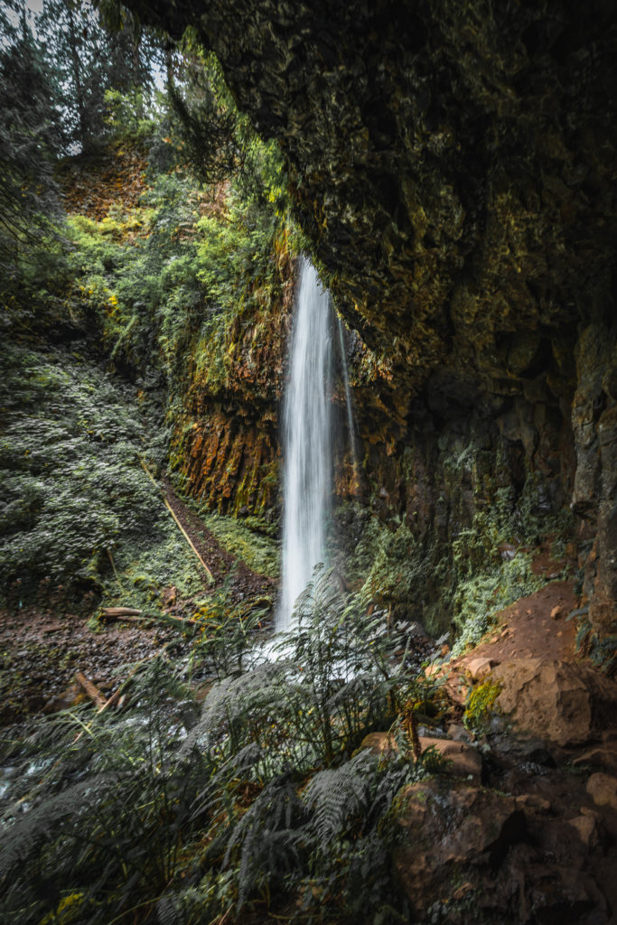 Waterfalls in the Columbia River Gorge