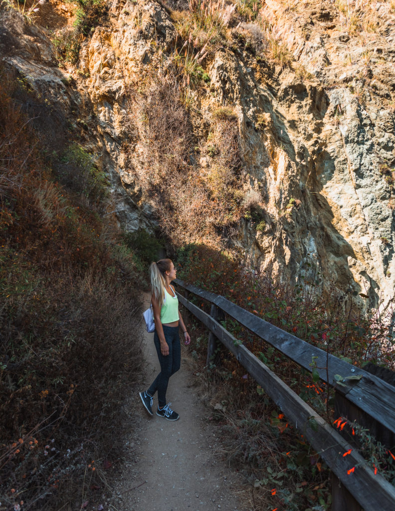 Mine shaft tunnel on the Partington Cove trail