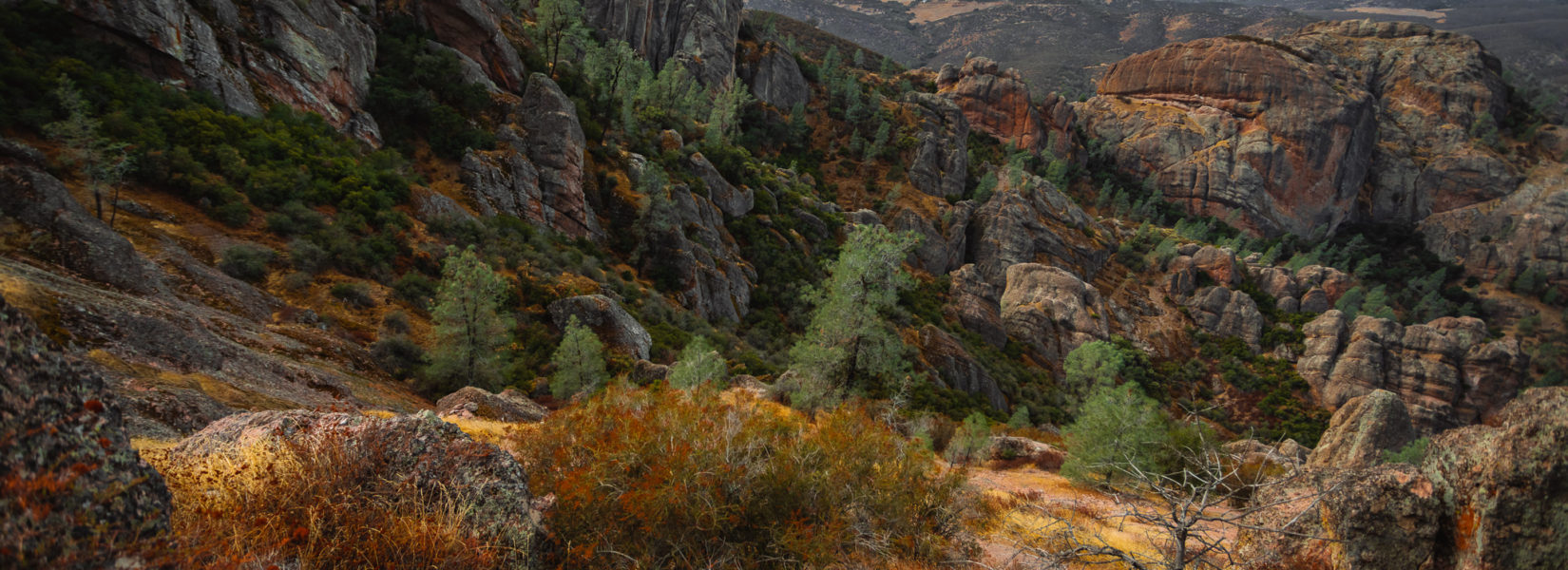 Hiking Pinnacles National Park: The Best Trail to See It All