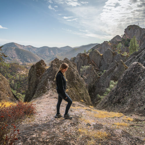 Pinnacles in the National Park
