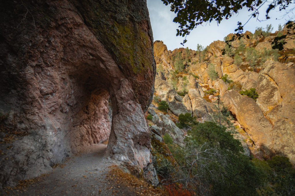 Tunnels of Rock in Pinnacles NP
