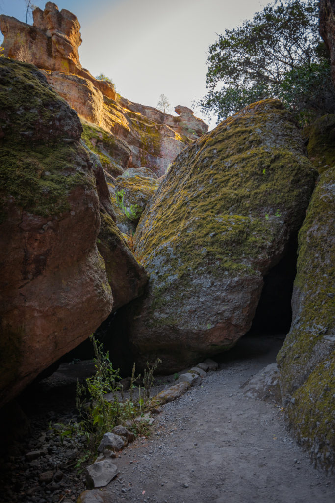 Entrance to Bear Gulch caves
