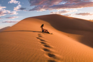 Amargosa Sand Dunes