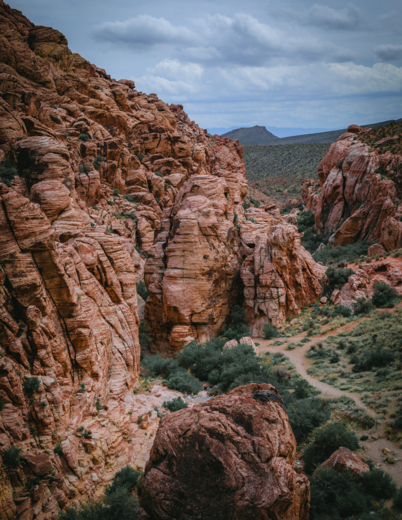 Landscape of Red Rock Canyon National Park