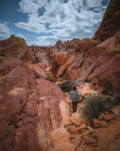 White Domes Trail in Valley of Fire State Park