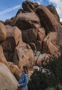 Joshua Tree National Park