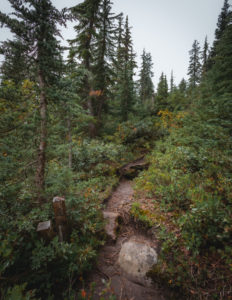 Campsites at Thornton Lake in North Cascades