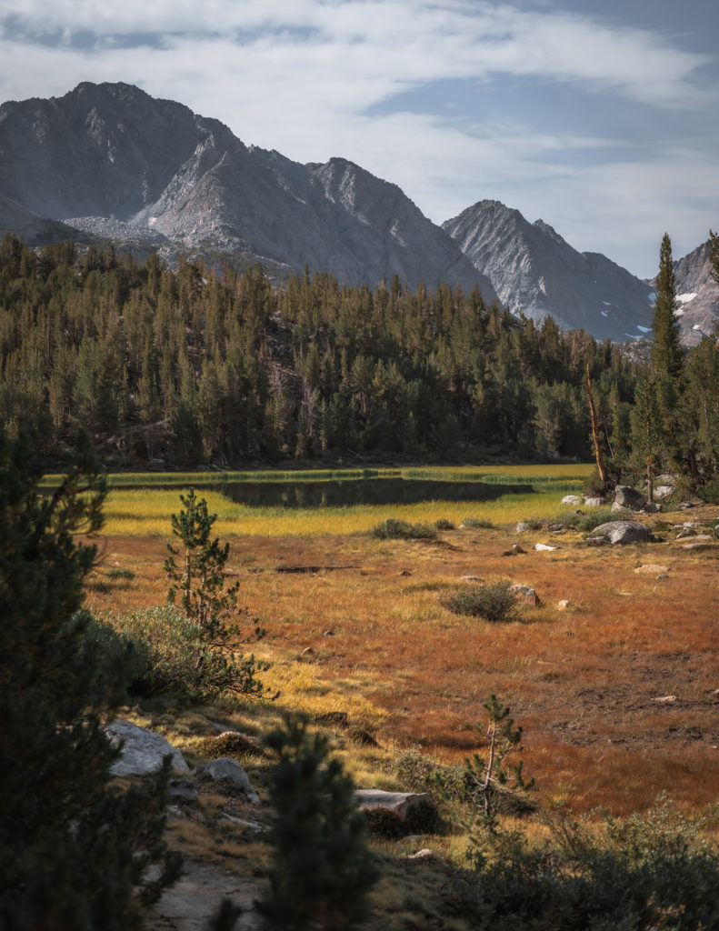Marsh Lake in Inyo National Forest