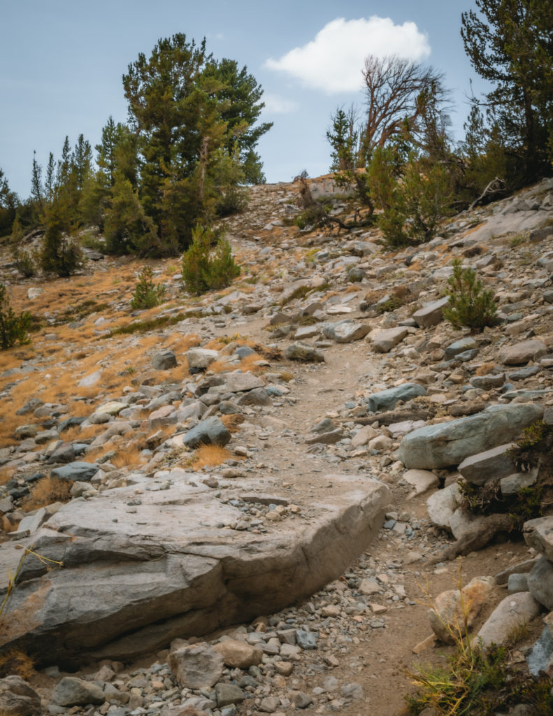 Hiking the Duck Pass and Pika Lake Trail