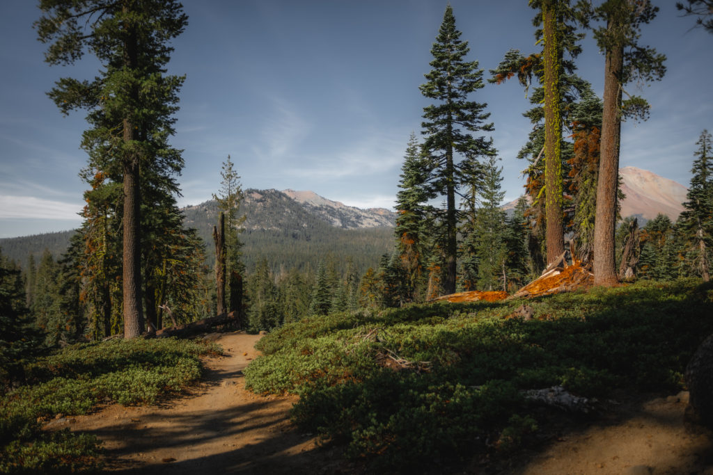 Views from the Beginning of the Cluster Lakes Loop Trail in Lassen