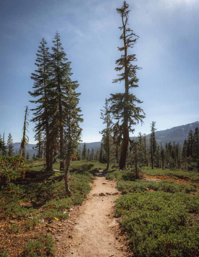Hiking the Cluster Lakes Trail in Lassen National Park