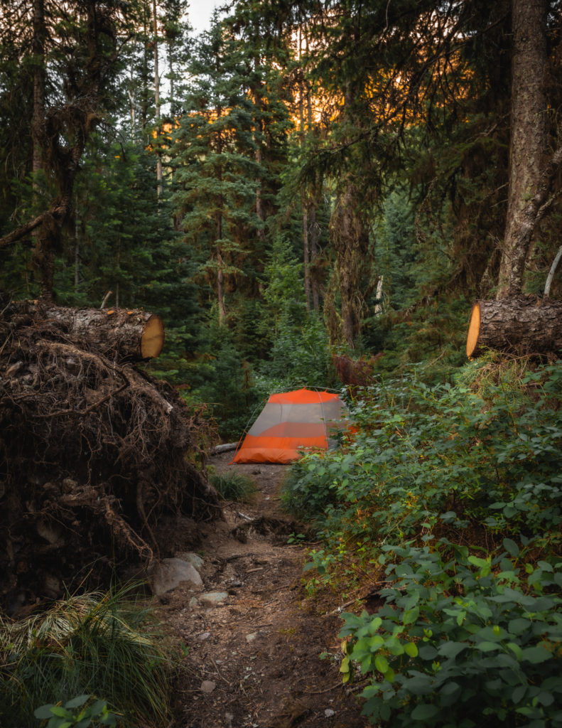 Campground at Upper Park Creek in Glacier National Park