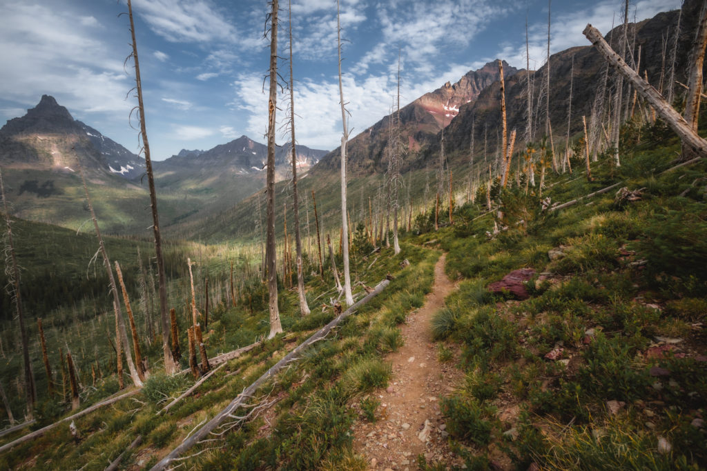 The Trail to Lake Isabel