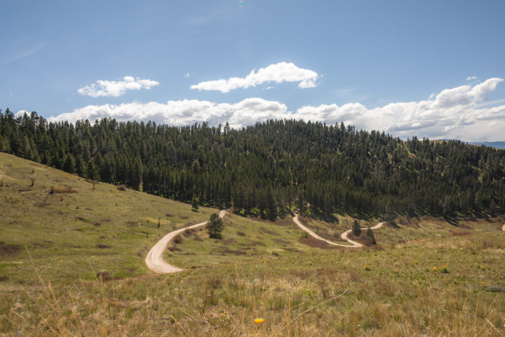 Edge Lane in the National Bison Range in Montana