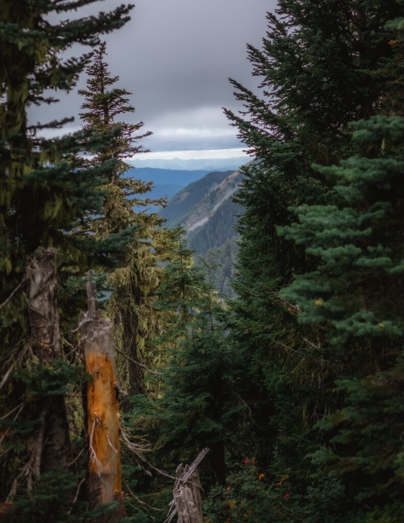 Views of Surrounding Washington from the Summit Lake Trail