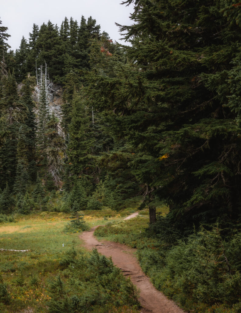 The Summit Lake Trail in Washington